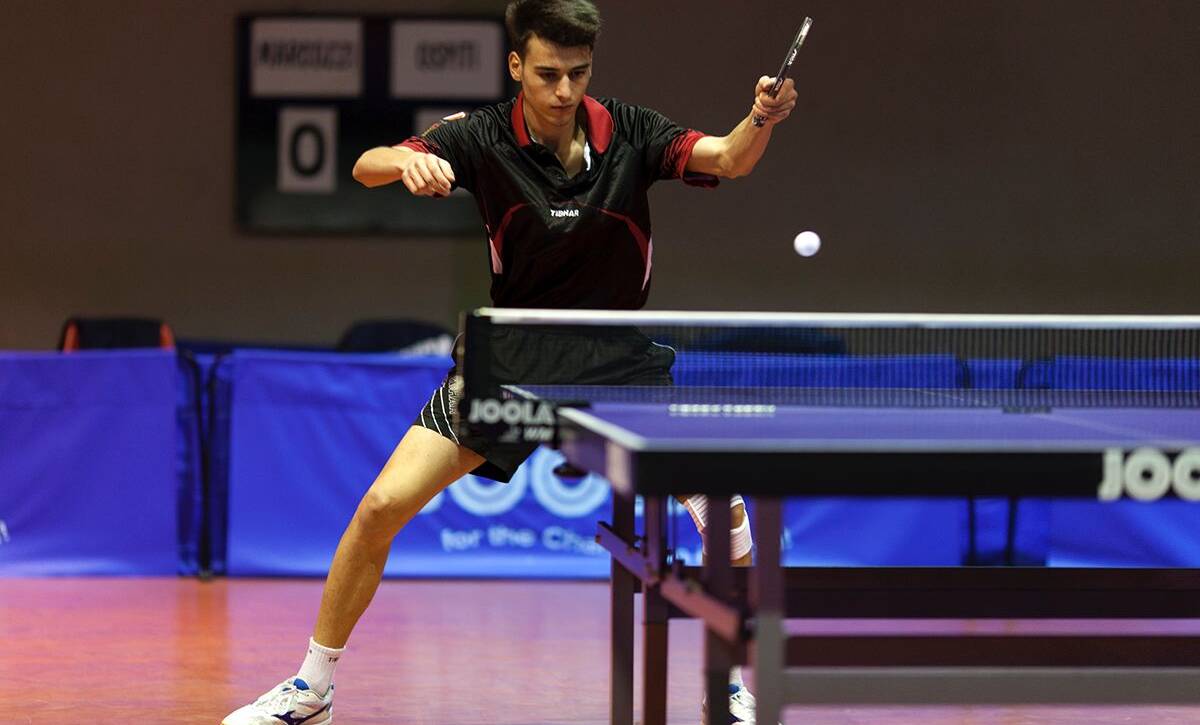 curiosità sul tennis tavolo e ping pong