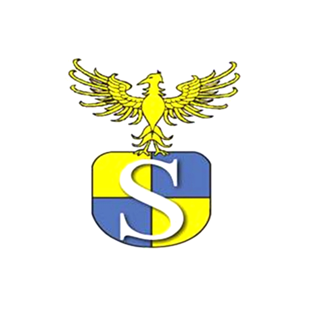 SUZZARA FENICE ASD