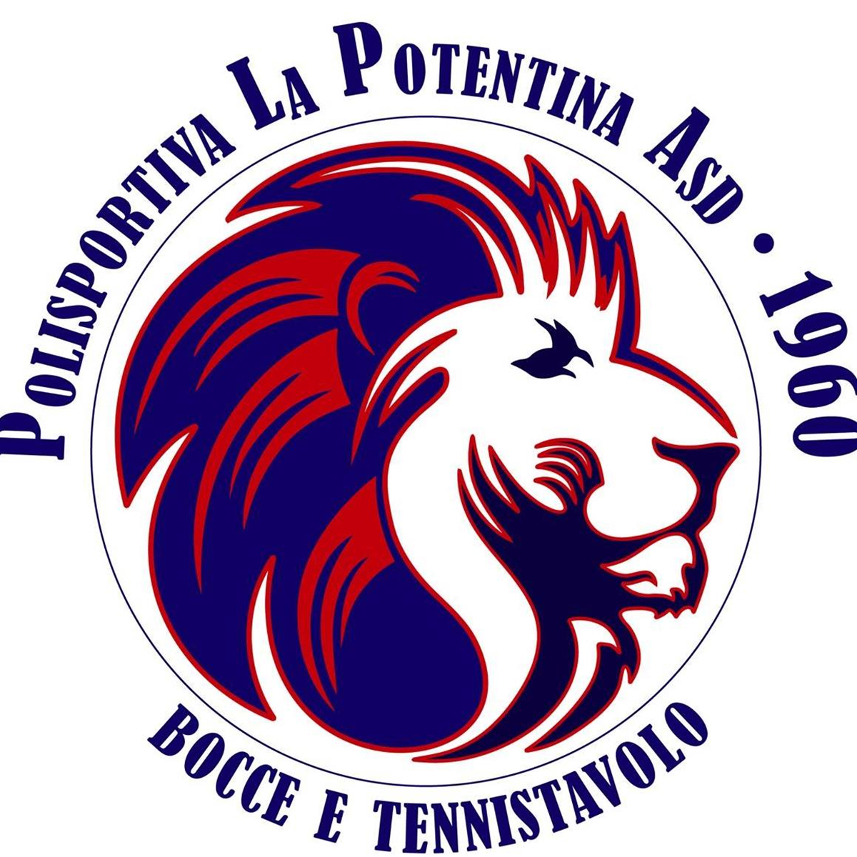 POLISPORTIVA LA POTENTINA ASD